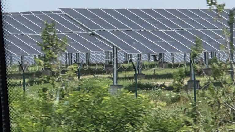Solceller bør placeres i byerne – hvor forbruget er