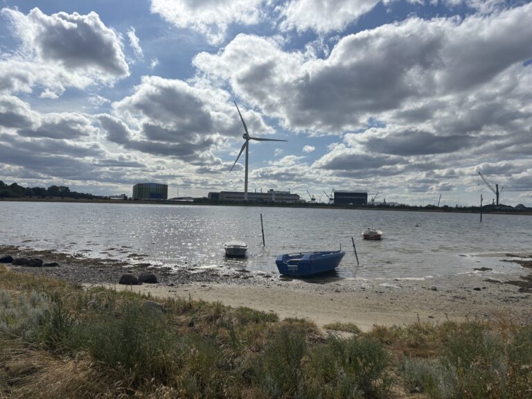Derfor er vi imod udbygningen af Odense Havn