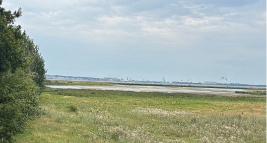 Planer om en udvidelse af Odense Havn vækker stor bekymring